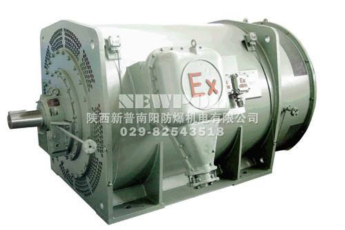 YB355～900系列高壓（6KV、10KV）隔爆型三相異步電動機(jī)