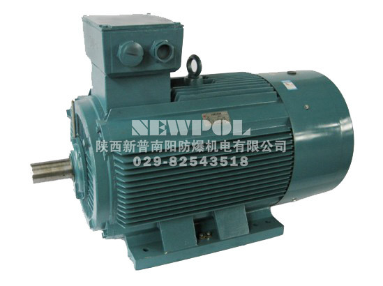 Y2系列（中心高H63-H355、0.18-315kW）電動機(jī)