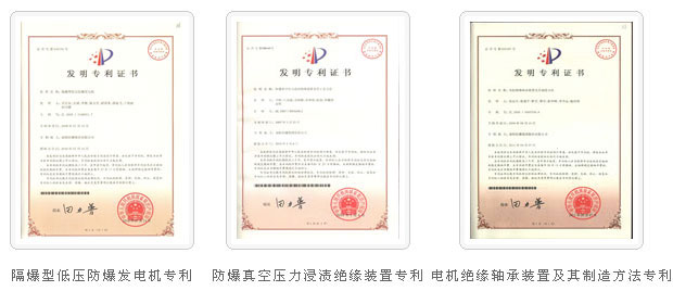 榮譽(yù)資質(zhì)10